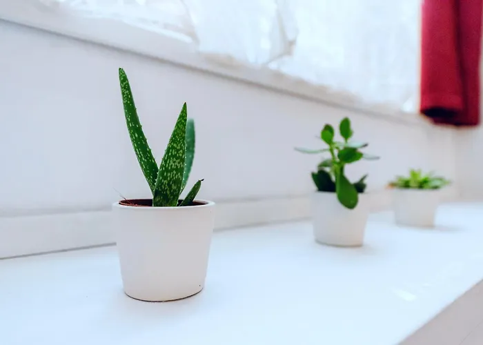 Helios Testaccio - Center Of בית הארחה רומא