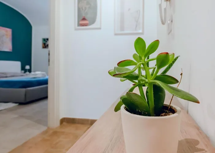 Helios Testaccio - Center Of